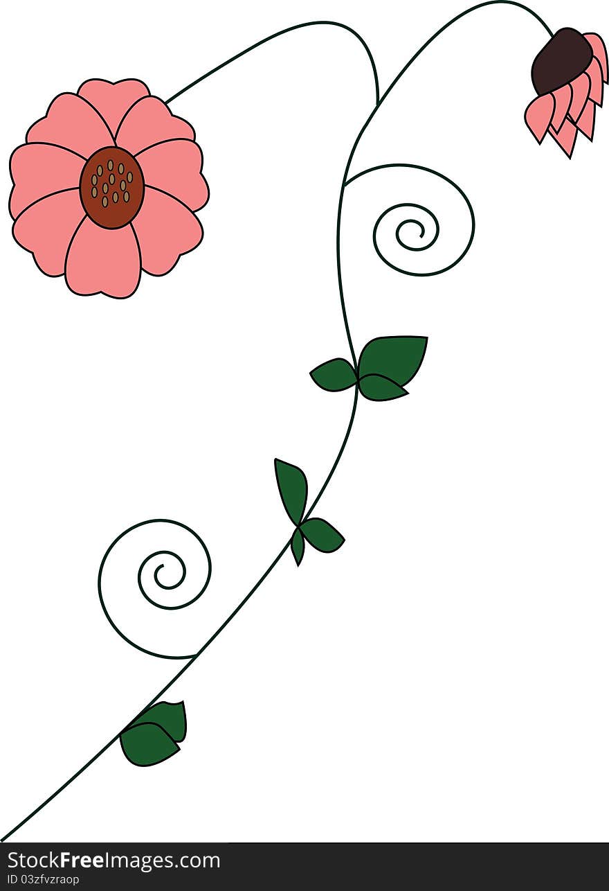 Beautiful flower illustration