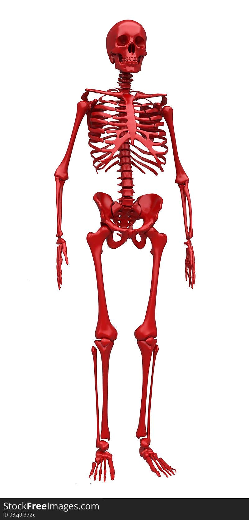 Red skeleton. Isolated. 3d rendered illustration