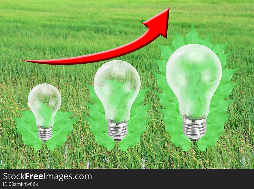 Green leaf with light bulb, rice field background.