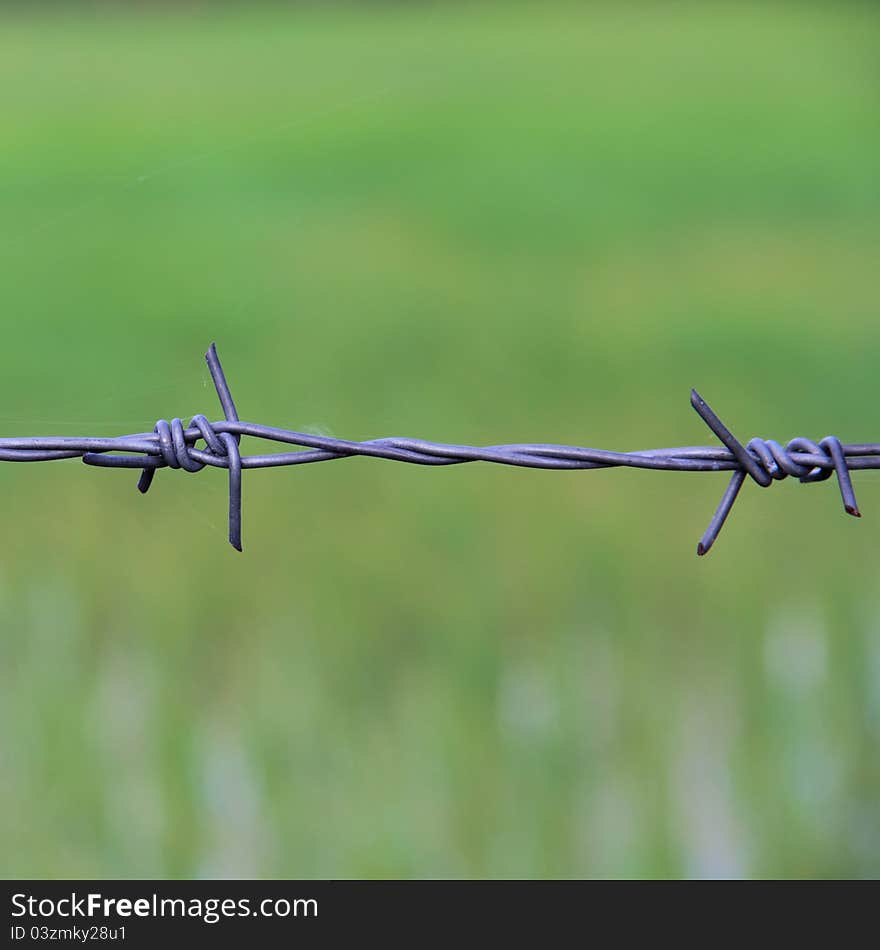 Barbed wires against green background. Barbed wires against green background.