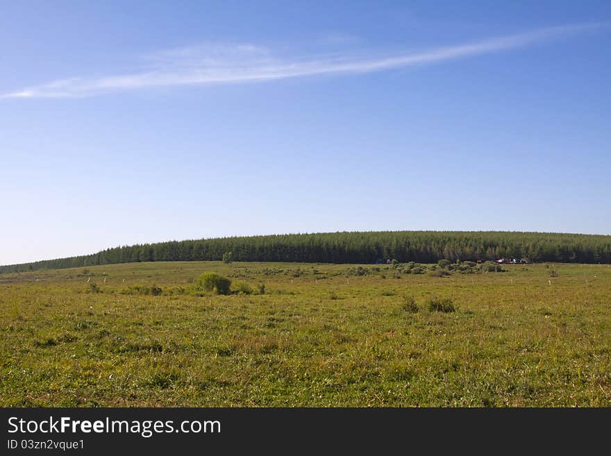 Closeup of grassland landscape in chengde SaiHanBa, in China