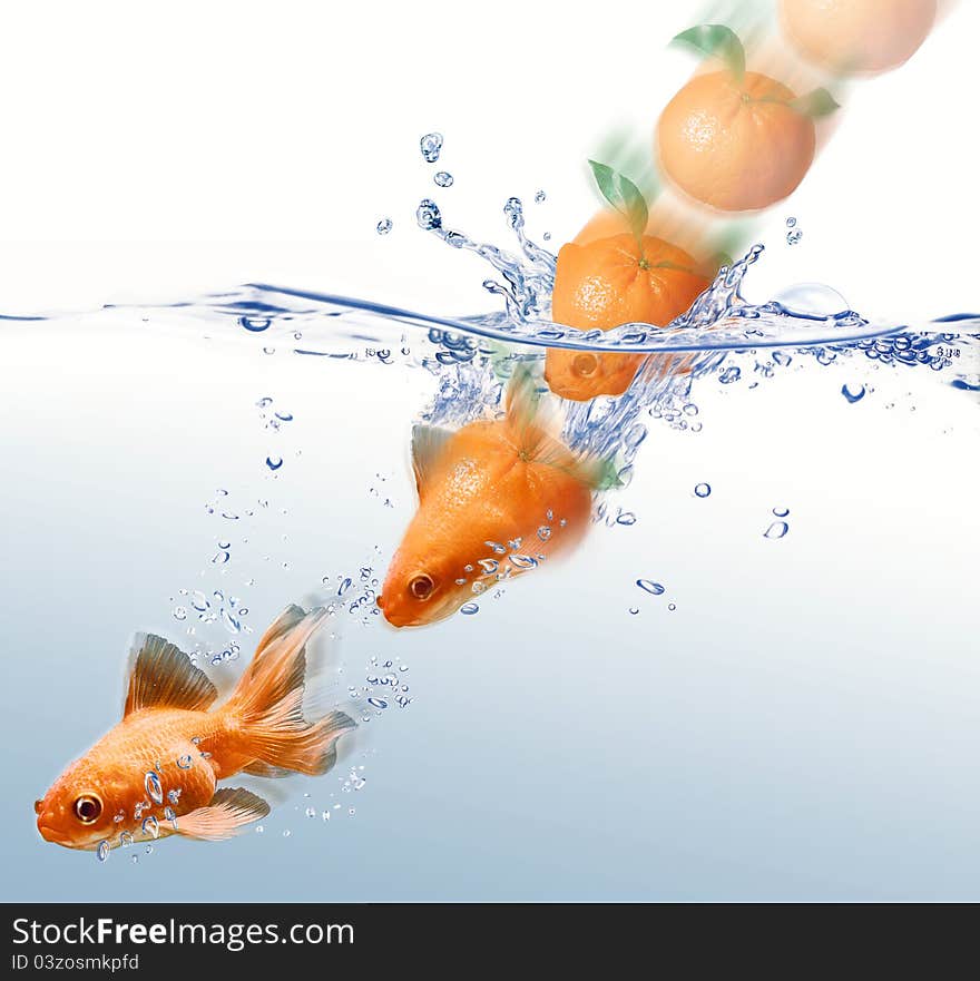 Mandarin splashing into water and transforming/morphing in a gold fish. Mandarin splashing into water and transforming/morphing in a gold fish