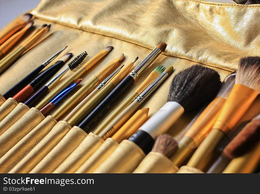 Make Up Brushes