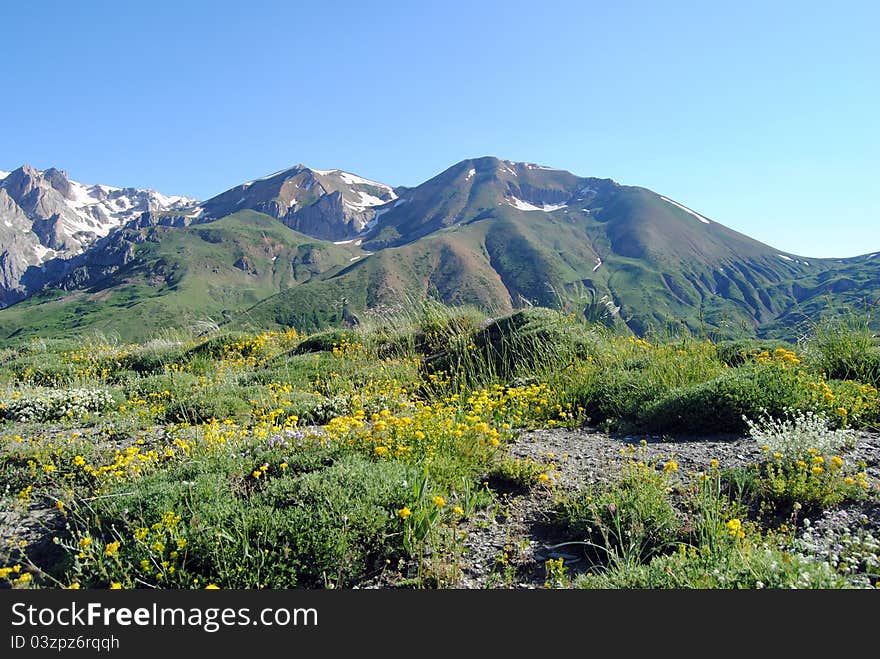 The snow and spring together in Tunceli.