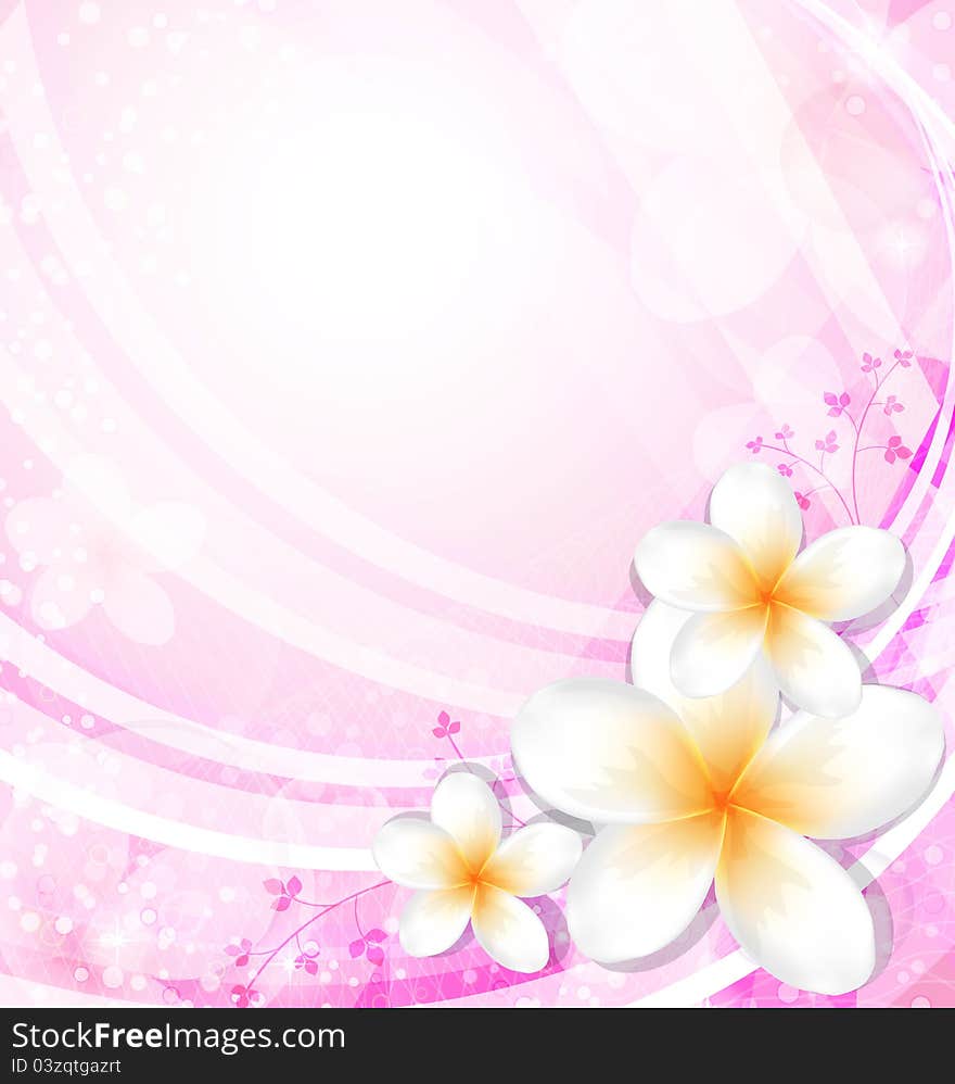 Flowers on a pink background. Flowers on a pink background