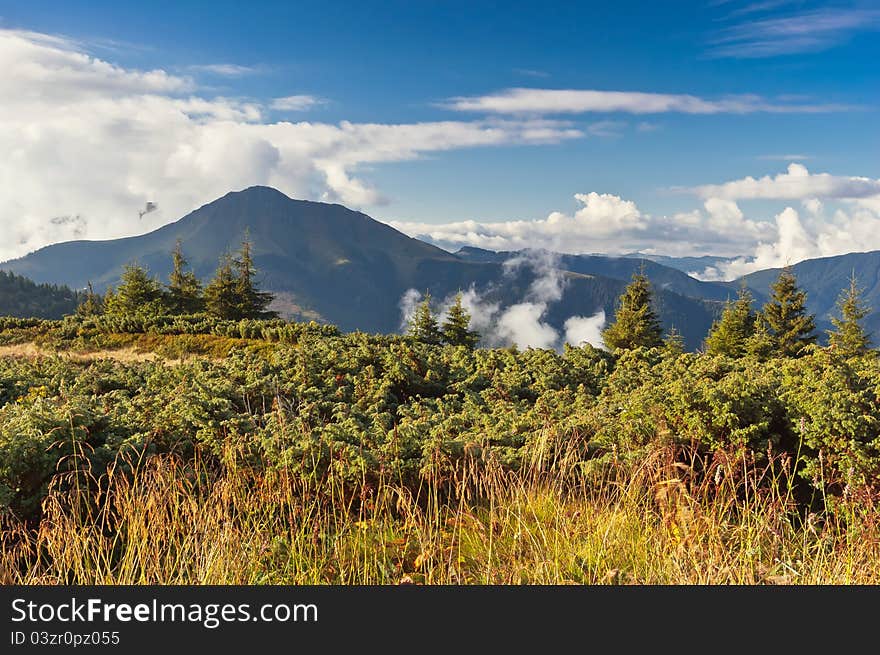 Summer sunny landscape with a cloudy sky. Ukraine, the Carpathian mountains. Summer sunny landscape with a cloudy sky. Ukraine, the Carpathian mountains.