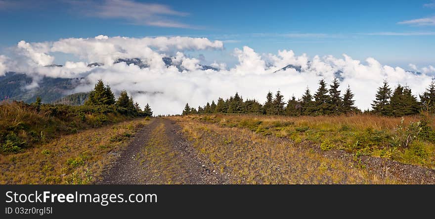 Summer landscape in the mountains