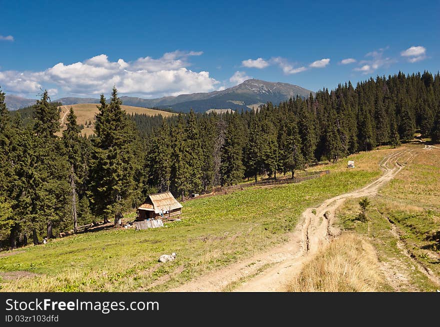 Summer landscape in the mountains