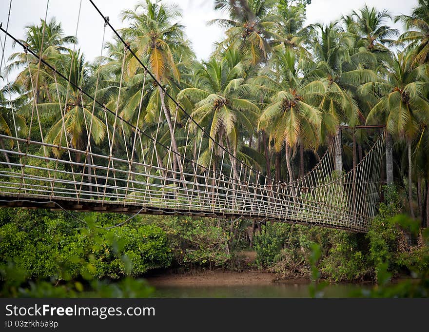 A beautiful view of hanging bridge in a tropical landscape