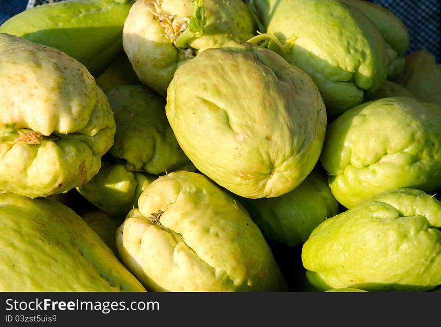 Chayote Harvest Of Vegetables.