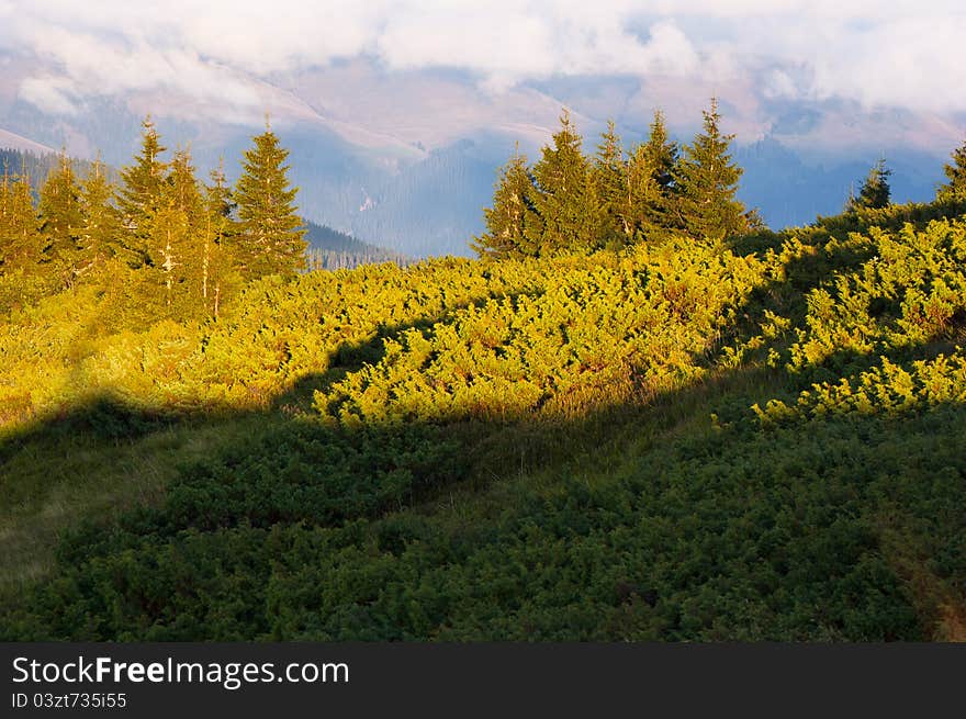 Summer landscape in the mountains