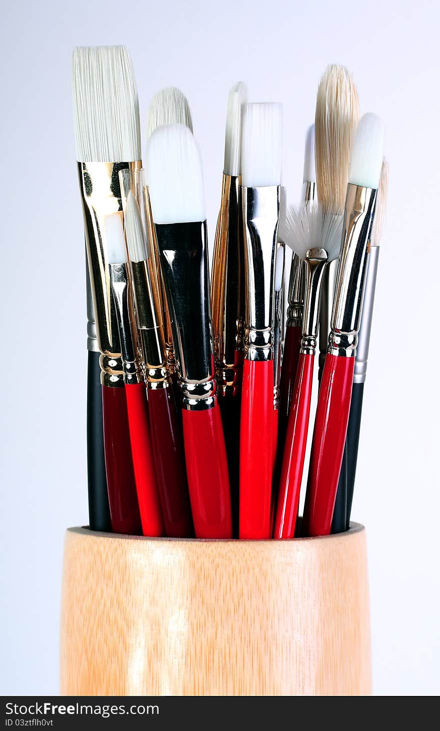 Artist Paint Brushes