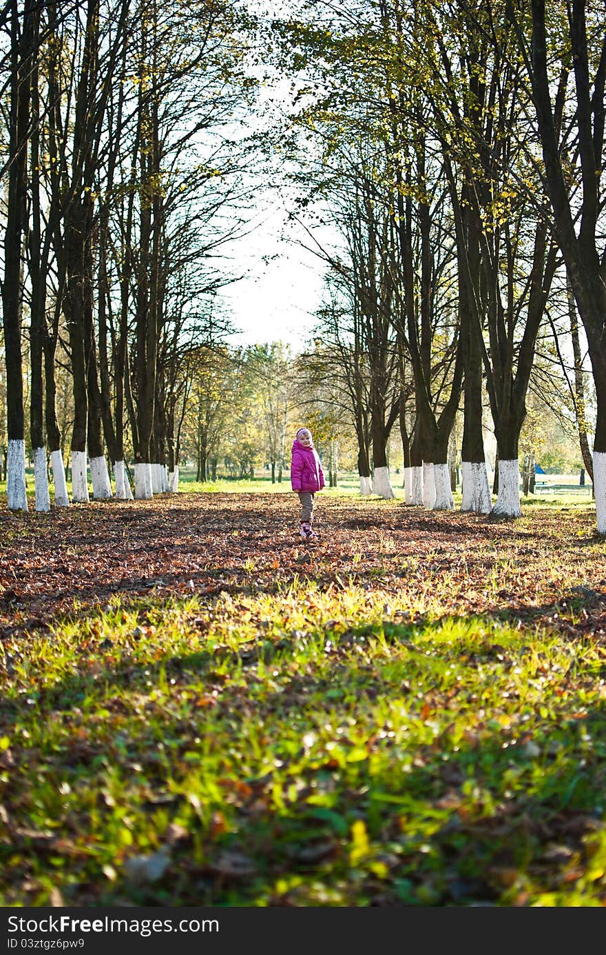 A girl walks through autumn leaves strewn park. A girl walks through autumn leaves strewn park