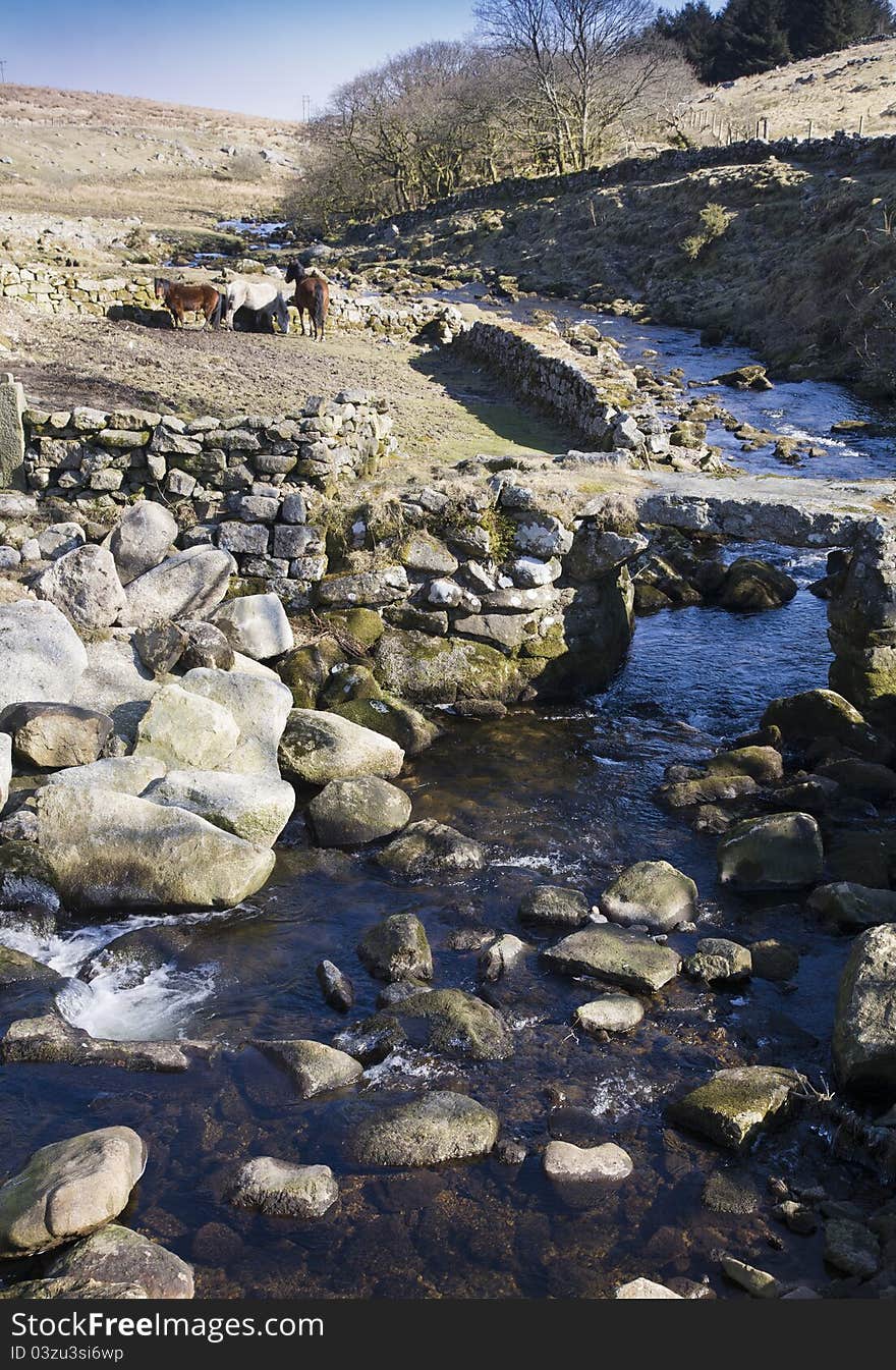 Landscape view of a stone bridge on Dartmoor National Park, with ponies in the background. Landscape view of a stone bridge on Dartmoor National Park, with ponies in the background