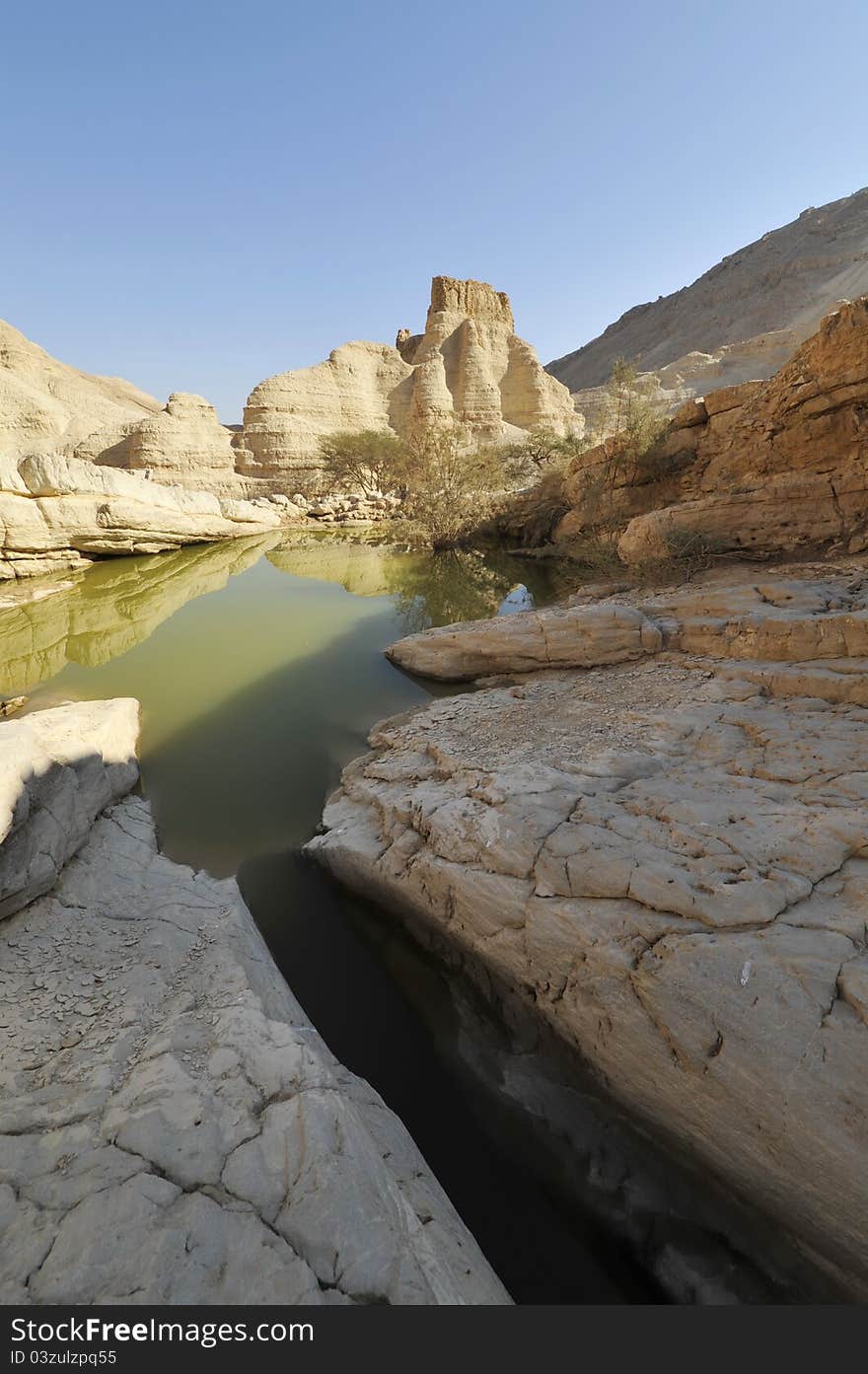 Winter in Judea desert.