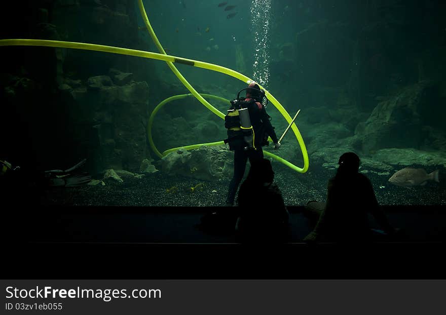 Two young female visitors are watching aquarium while cleaning continues.