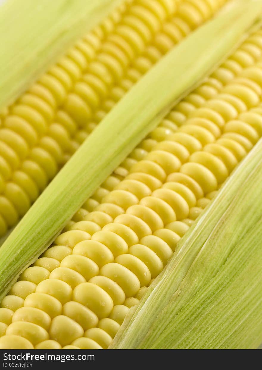 Sweet corn with corn cob