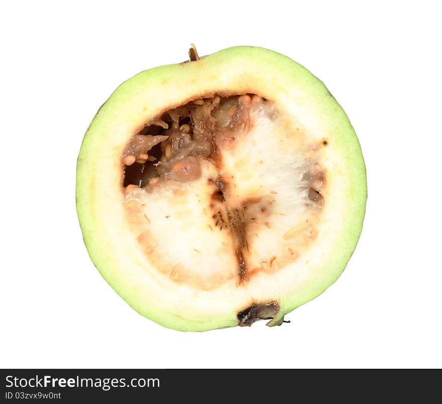 Putrid guava fruit isolated on white background