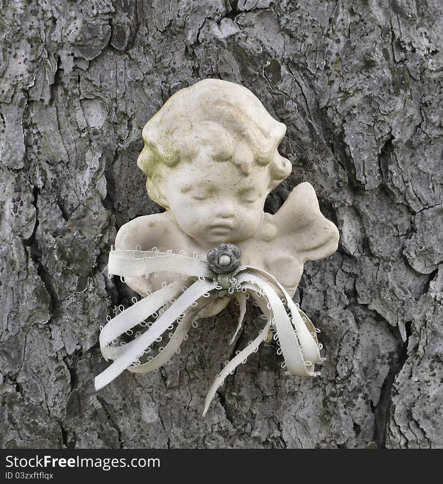 Close-up of a head of a white cherub attached to a tree with gray bark. Close-up of a head of a white cherub attached to a tree with gray bark.