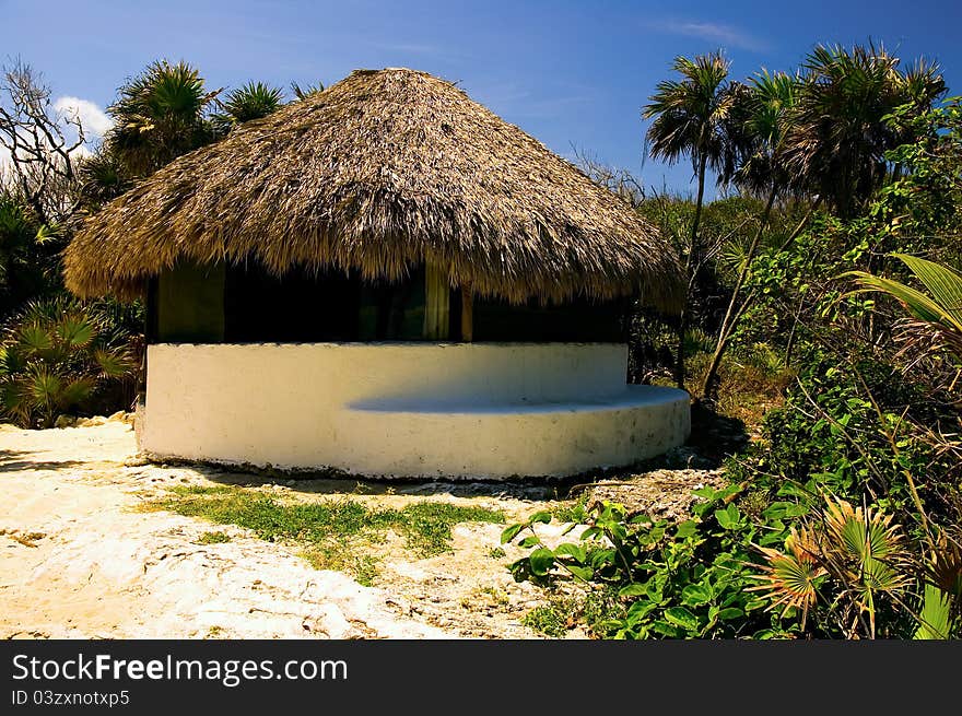 Palapa On A Beach