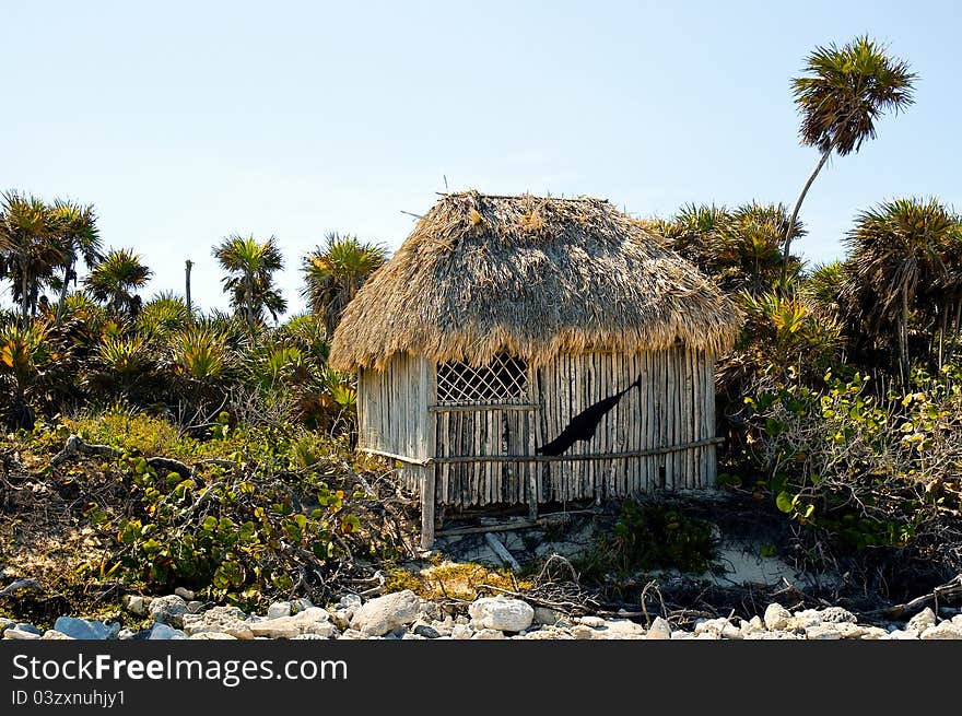 Palapa On A Beach