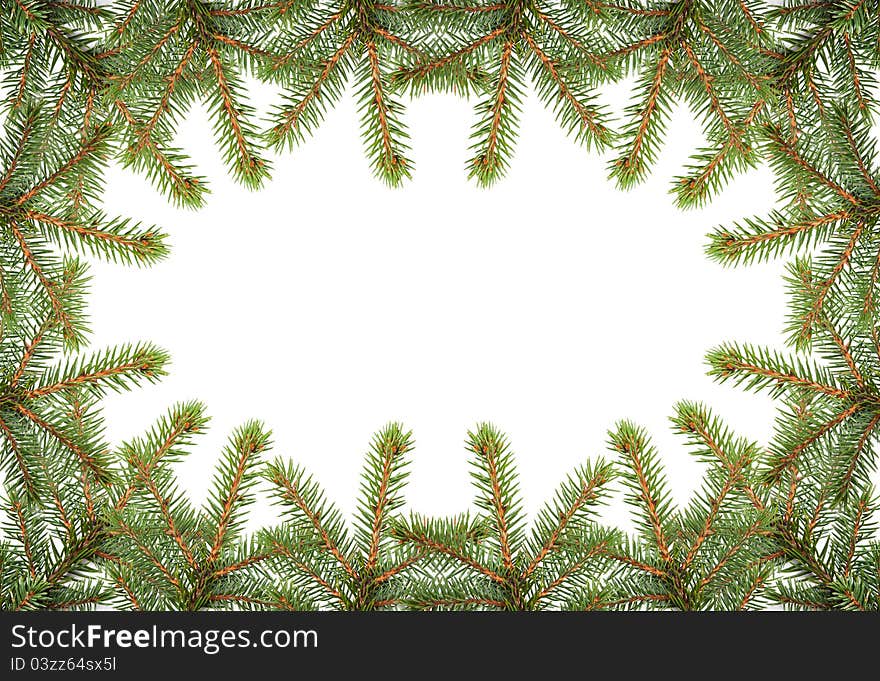 White background with the green fir branches. White background with the green fir branches.