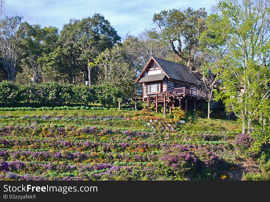 Beautiful wooden house on the hill surrounded flowers