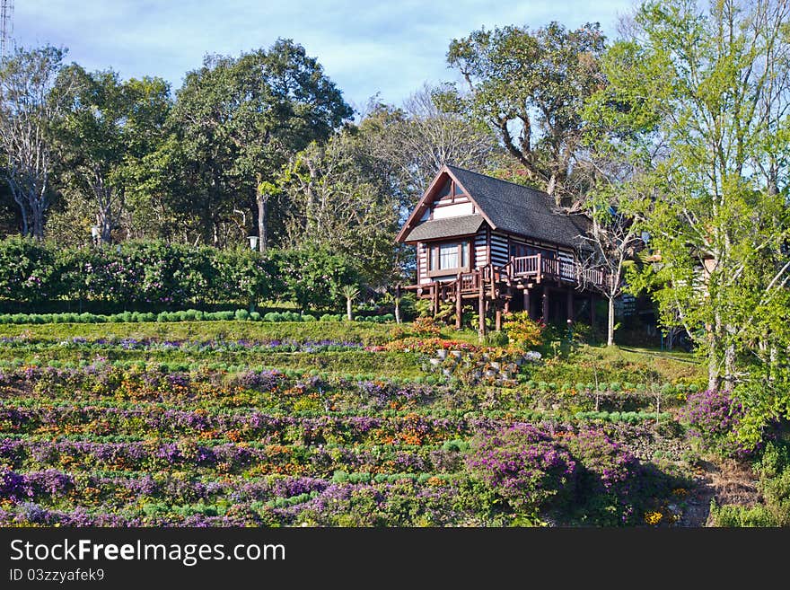 Wooden House On The Hill