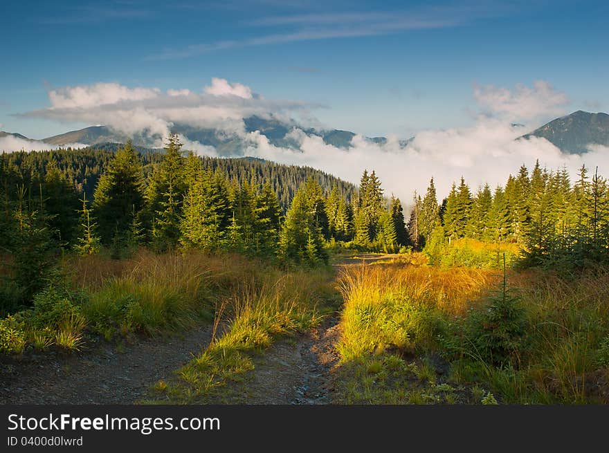 Morning landscape with clouds. Ukraine, the Carpathian mountains. Morning landscape with clouds. Ukraine, the Carpathian mountains