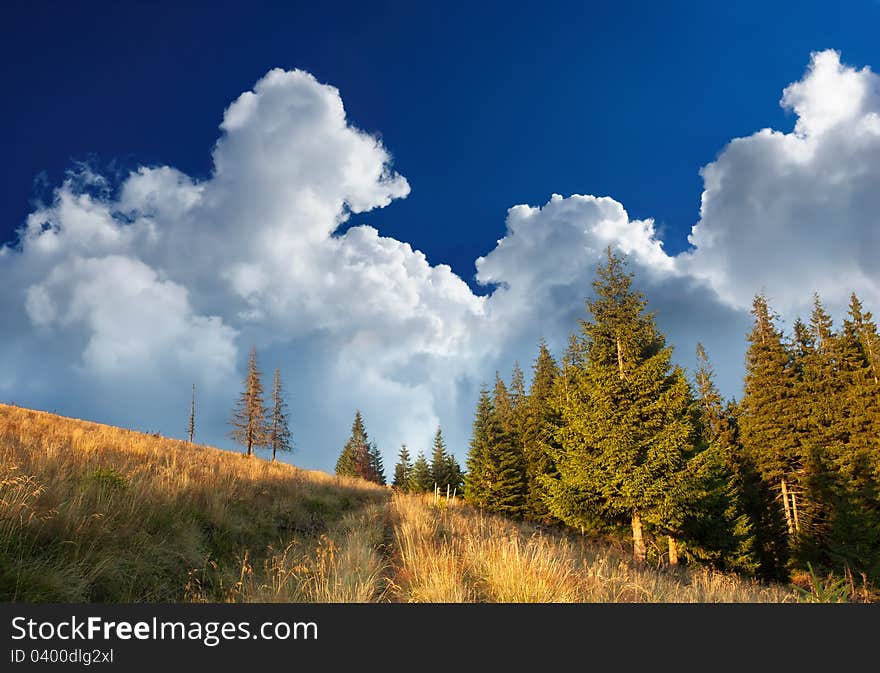 Summer landscape with a cloudy sky. Ukraine, the Carpathian mountains. Summer landscape with a cloudy sky. Ukraine, the Carpathian mountains