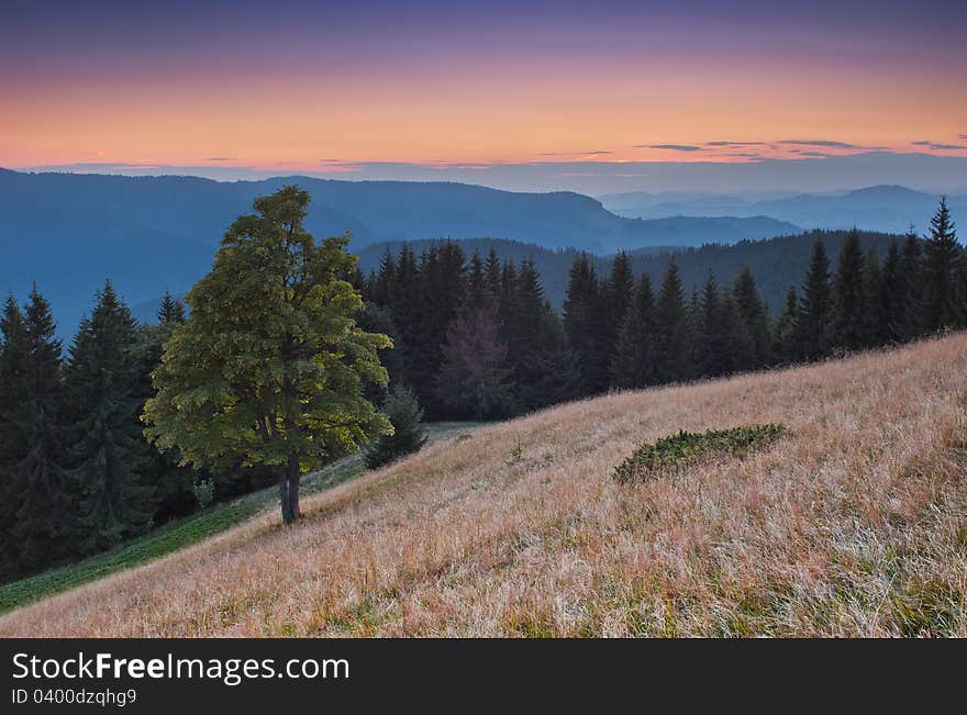 Landscape in the mountains with a sunset. Ukraine, the Carpathian mountains. Landscape in the mountains with a sunset. Ukraine, the Carpathian mountains