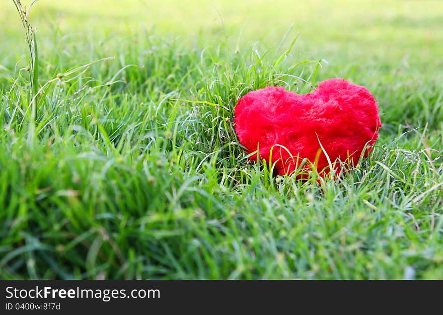 Red Heart on grass of love concept.