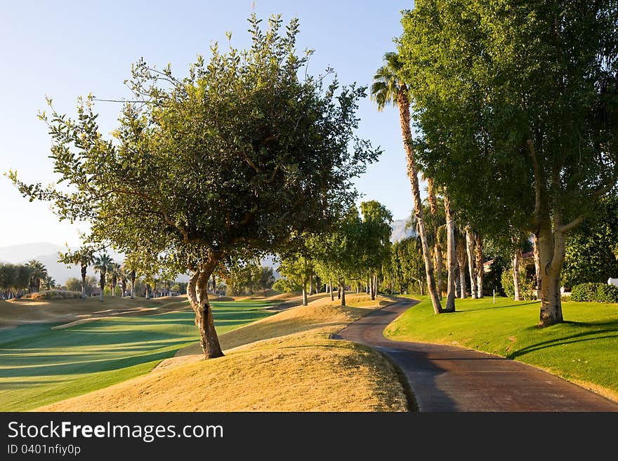 Cart Path At Golf Course