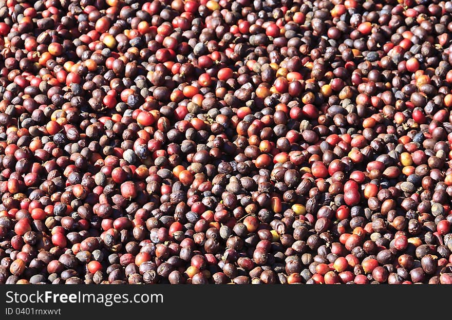 Coffee beans