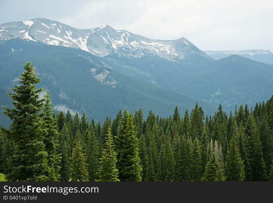 Snow capped mountains and green pines. Snow capped mountains and green pines.