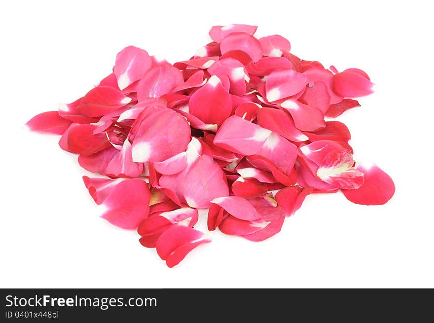 A pile of red rose petals isolated against a white background