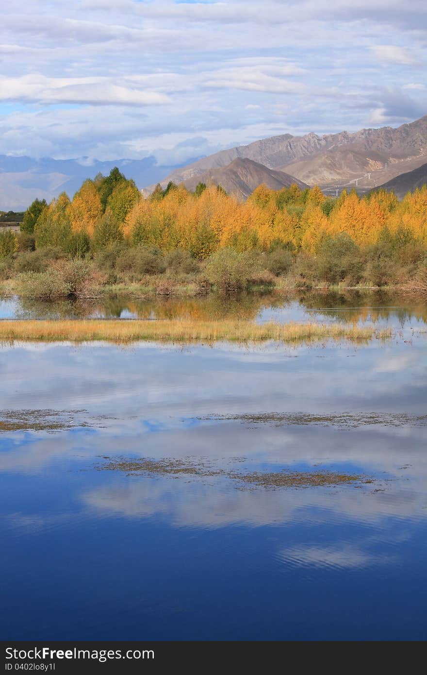 Kyi River And Poplar Trees