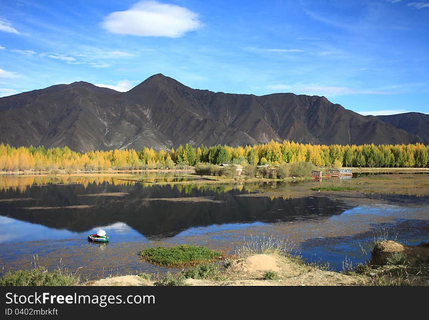 Kyi River And Poplar Trees