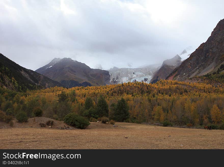 Midui Glacier was ranked by China National Geography Magazine as one of the top six most beautiful glaciers in China. But it is vanishing as the result of global warming.