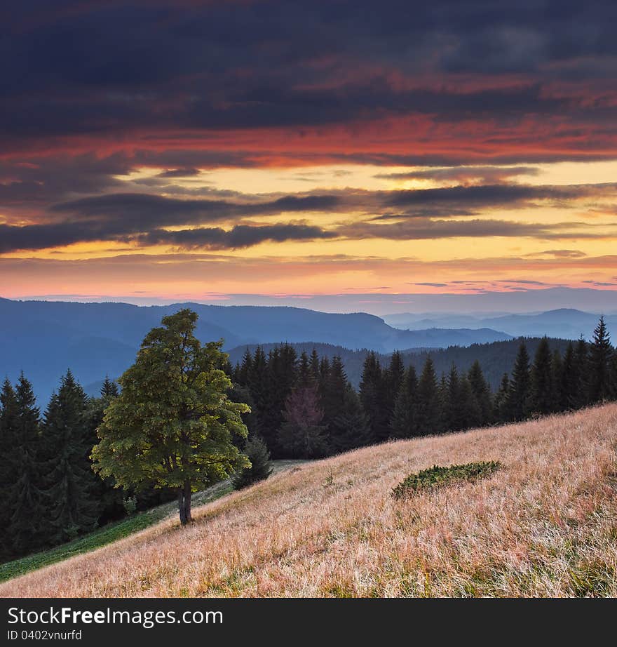 Landscape in the mountains with a sunset. Ukraine, the Carpathian mountains. Landscape in the mountains with a sunset. Ukraine, the Carpathian mountains