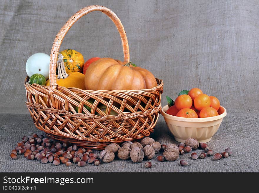 Still life of ornamental pumpkins and cones for Thanksgiving