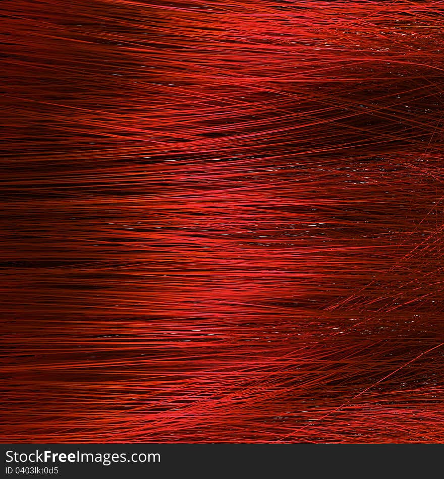 Hair Macro