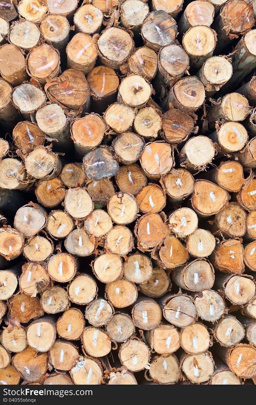 Background of dry chopped firewood logs stacked up