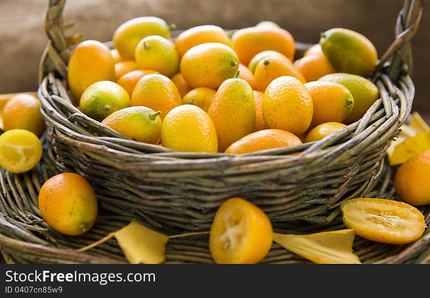 Kumquat Still Life