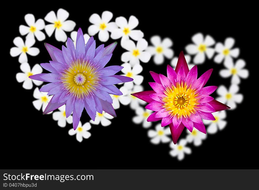 Two Lotus flowers above heart-shaped flowers. Two Lotus flowers above heart-shaped flowers.