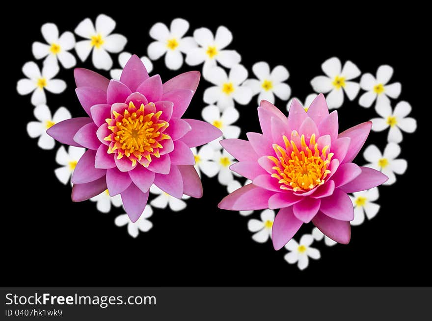 Two Lotus flowers above heart-shaped flowers. Two Lotus flowers above heart-shaped flowers.