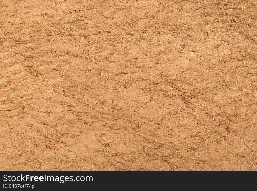 Tree Bark Background