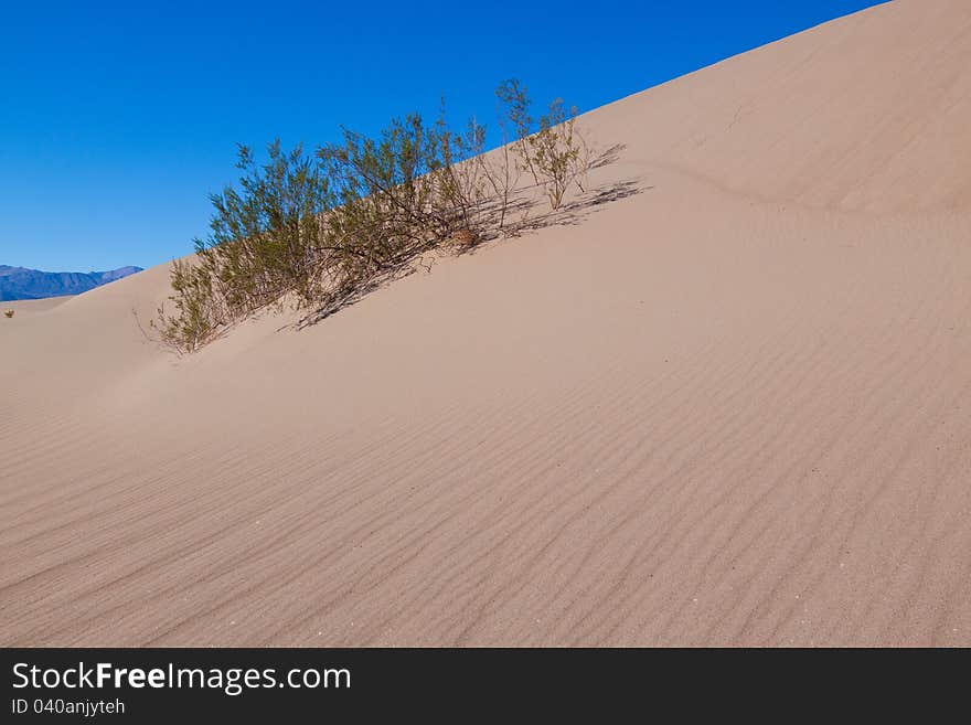 This image captures the intricate patterns of the Mesquite sand dunes in Death Valley National Park. This image captures the intricate patterns of the Mesquite sand dunes in Death Valley National Park.