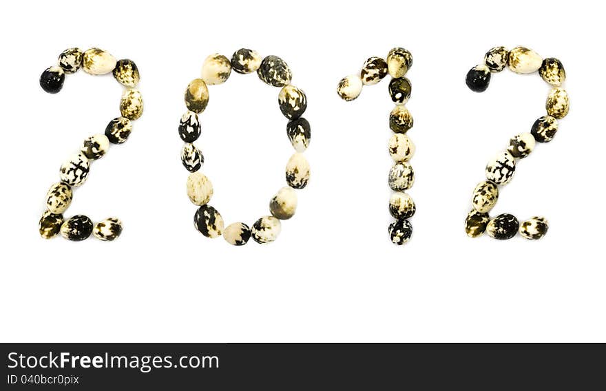 2012 New Year message made from shellfish and isolated on white background. 2012 New Year message made from shellfish and isolated on white background