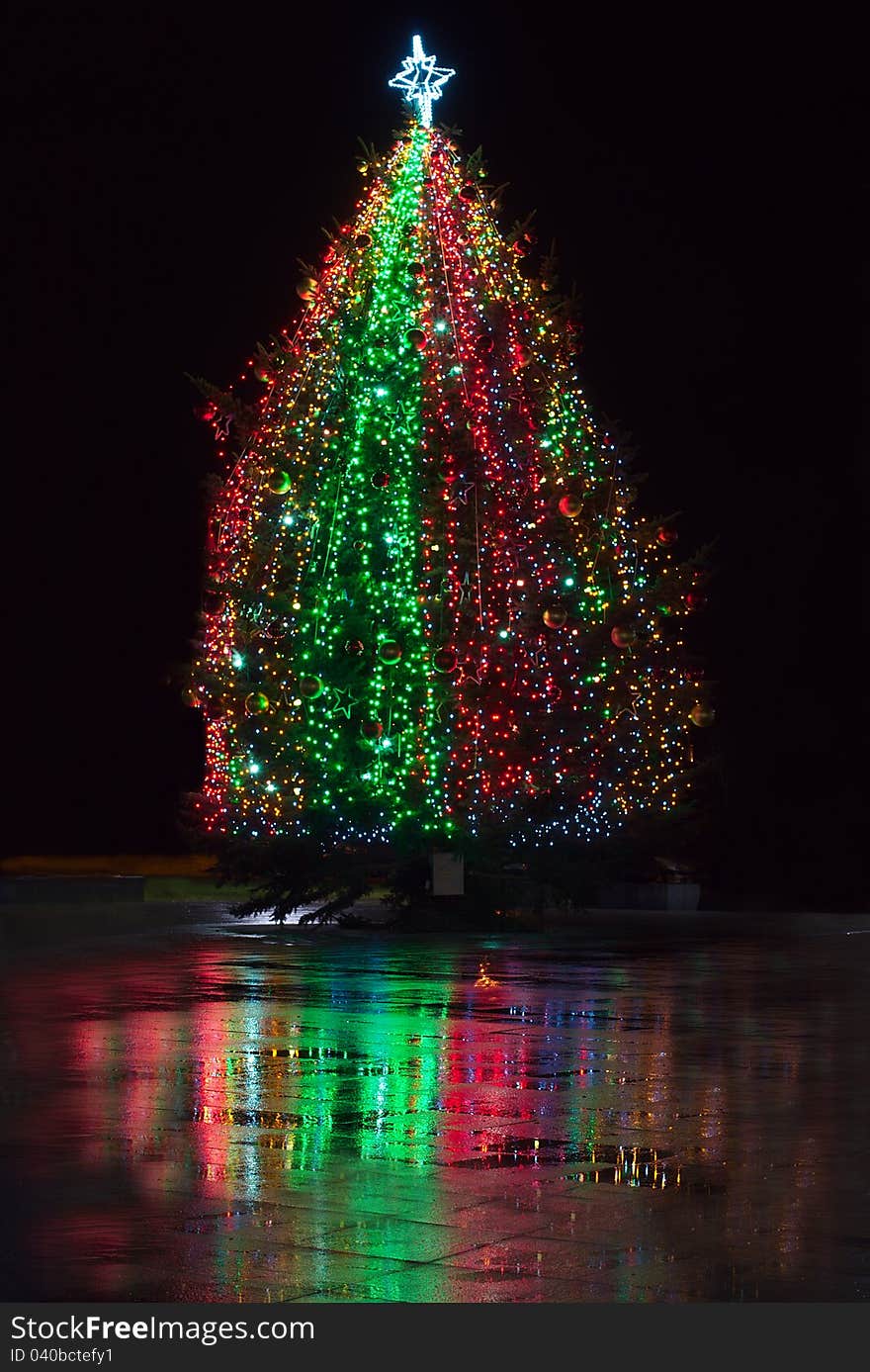 Christmas tree glowing in a town square at night